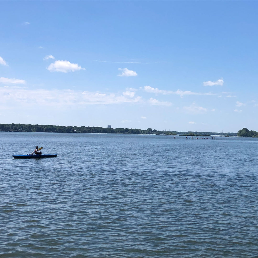 Location Kayak SIMPLE